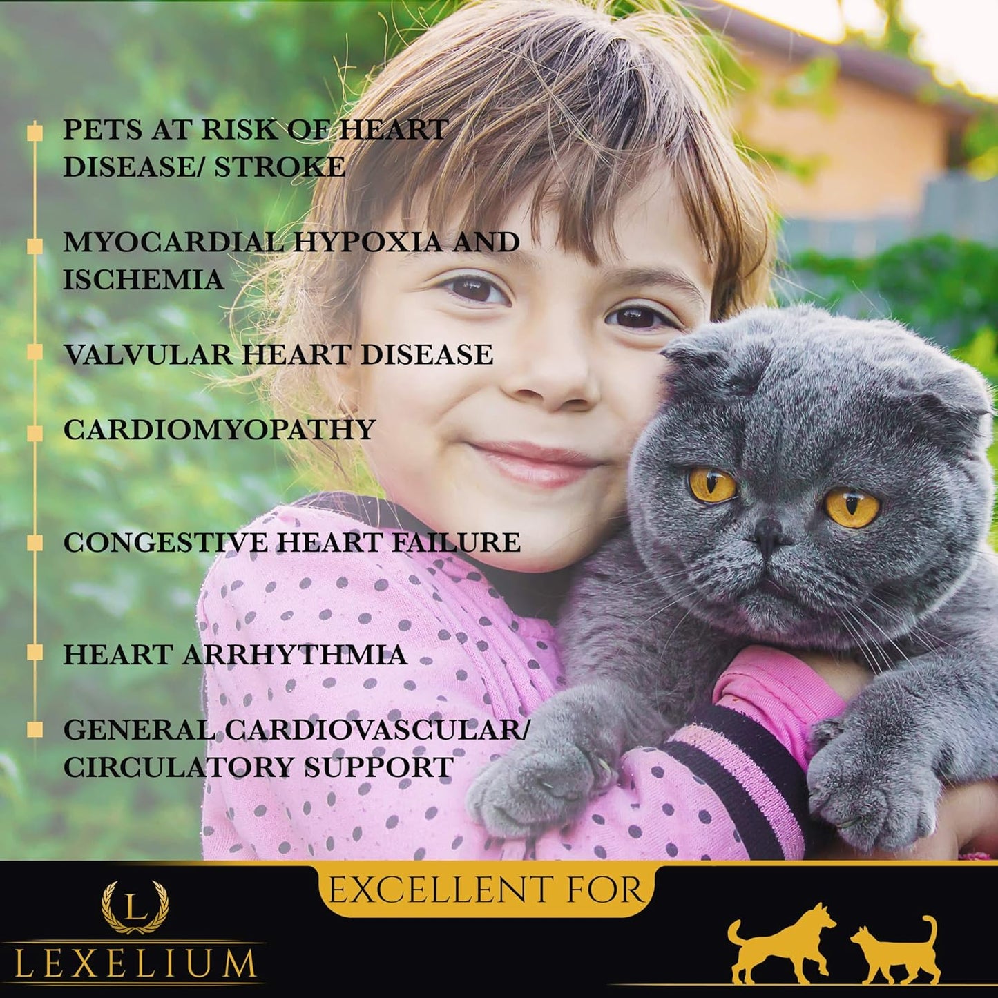 Lexelium Heart Health Supplement for Dogs and Cats - Supports Cardiovascular Health with Taurine - Promotes Healthy Hearts & Circulation - 200g Powder