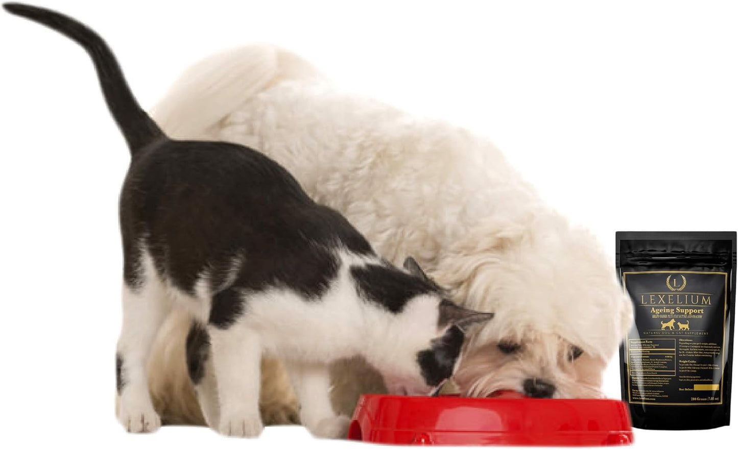 Lexelium Nursing Supplement for Dogs and Cats - Lactation and Recovery Vitamins for Breeders - Puppy and Kitten Development - 200g