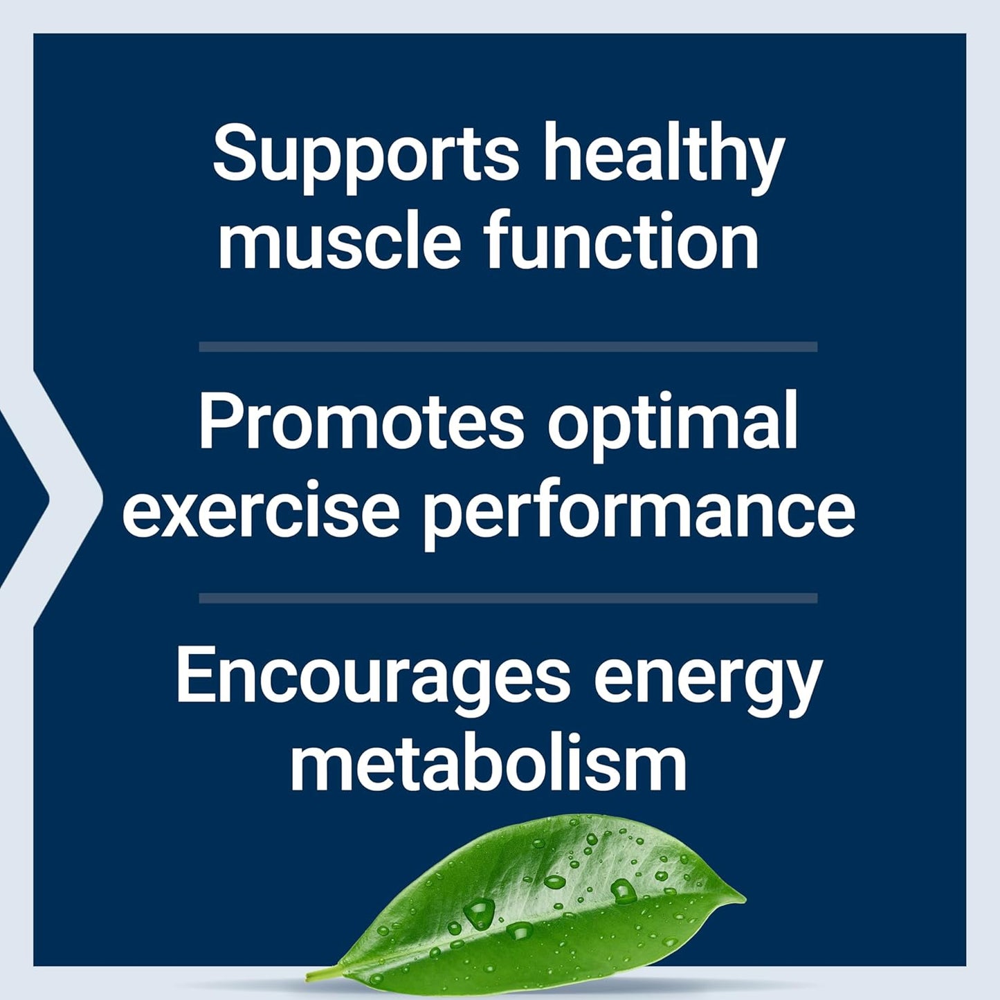 Life Extension Creatine Monohydrate Capsules - Enhances Strength, Lean Muscle, Endurance - Non-GMO, Gluten-Free - 120 Capsules