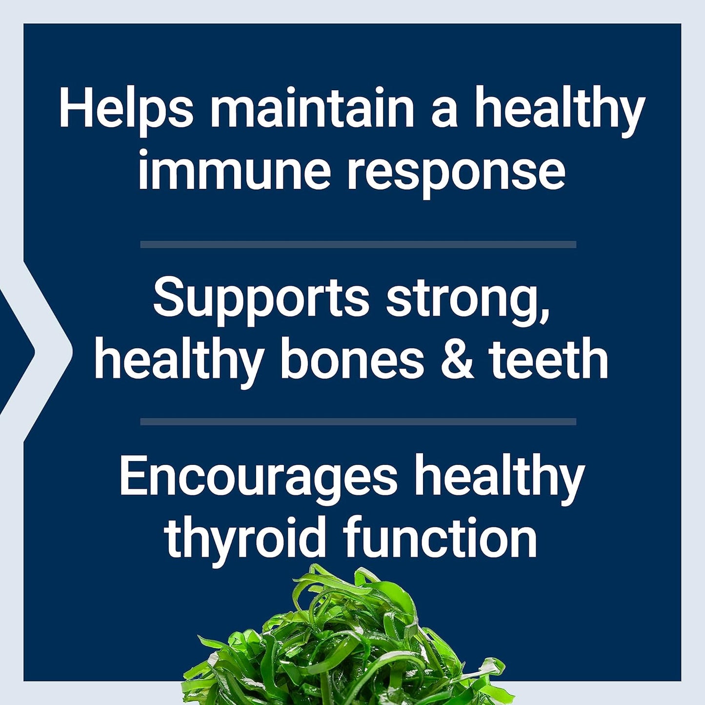 Life Extension Curcumin, Vitamin D, K, and Sea-Iodine Capsules for Immune, Bone, Heart, and Thyroid Health