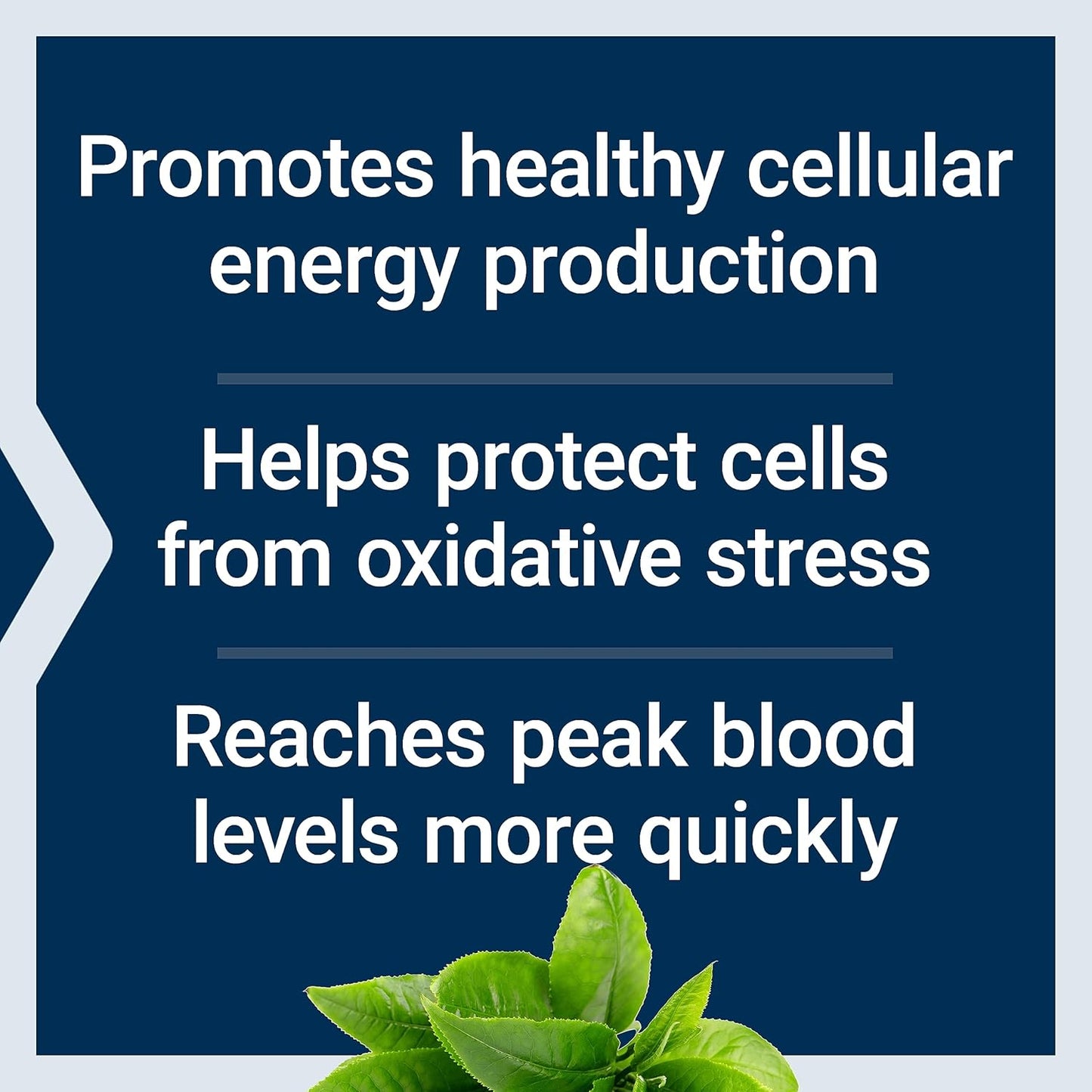 Life Extension Super R-Lipoic Acid Capsules - 240mg of R-Form R-Lipoic Acid for Oxidative Stress Defense - Gluten-Free, Non-GMO, Vegetarian - 60ct x 2 Pack