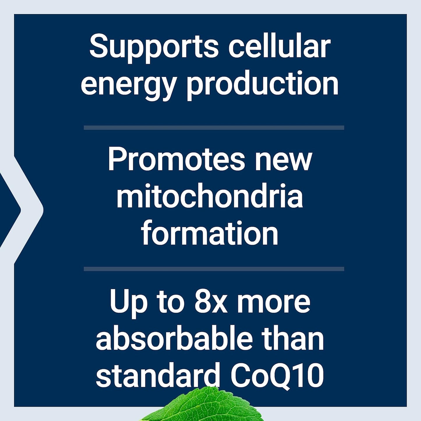 Life Extension Super Ubiquinol CoQ10 with PQQ and NAC for Immune, Respiratory, and Liver Health