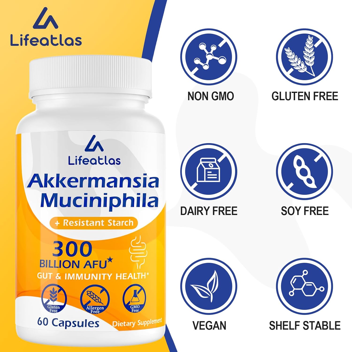 Lifeatlas Akkermansia Probiotic Supplement | 300 Billion AFU for Gut Health & Immunity | GLP-1 Production Support | 60 Capsules