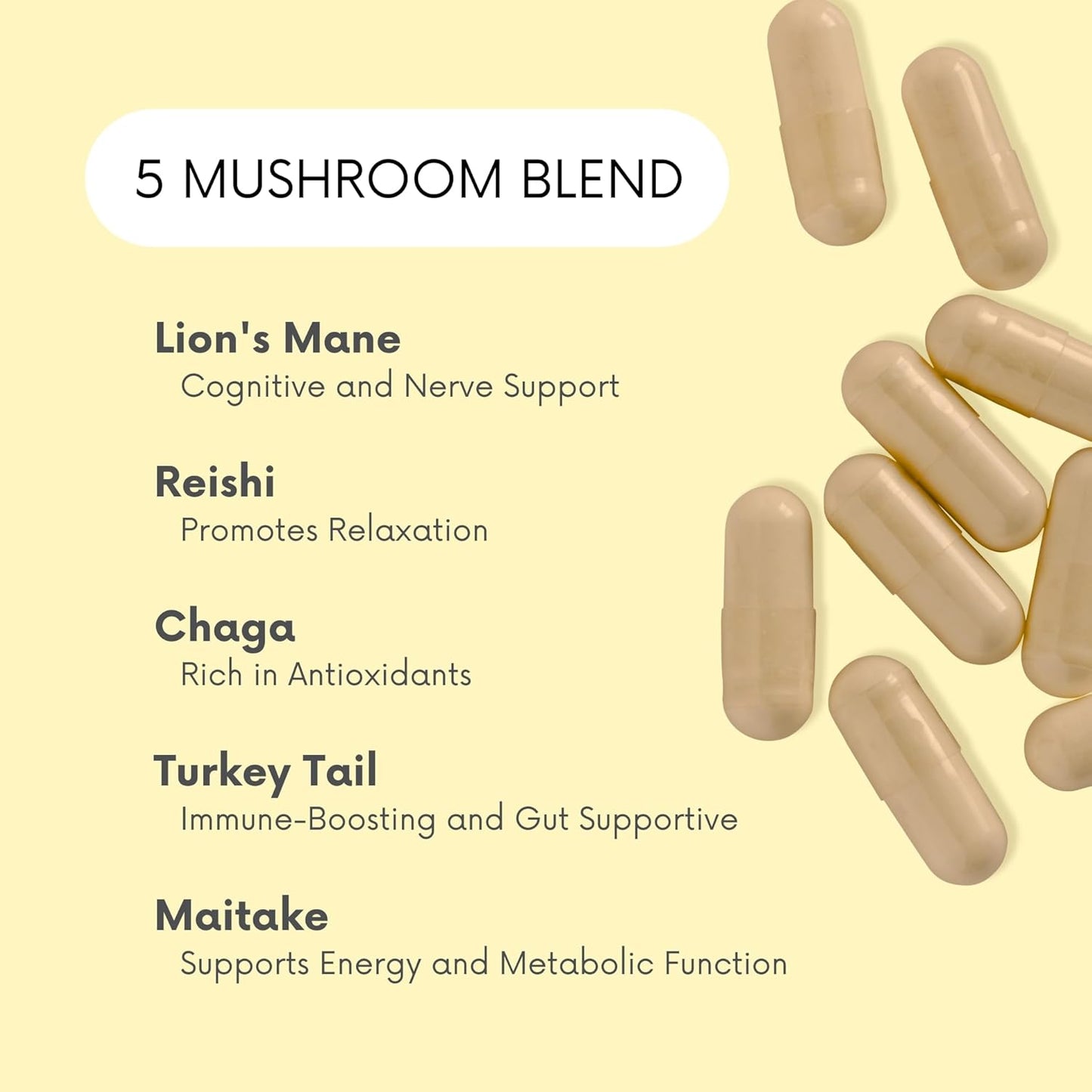 Lifted Naturals Mood Mushrooms Supplement - Lion's Mane, Reishi, Chaga, Turkey Tail, Maitake - Energy, Focus, Stress Relief