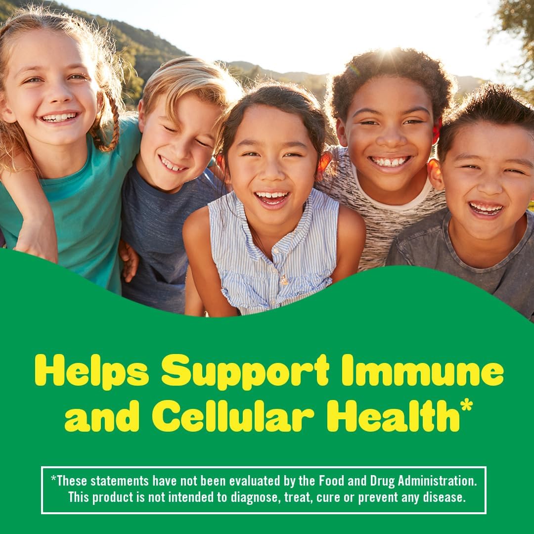 Lil Critters Immune C Daily Gummy Supplement for Kids - Vitamin C, D, Zinc - 190 Gummies - Mixed Fruit Flavors
