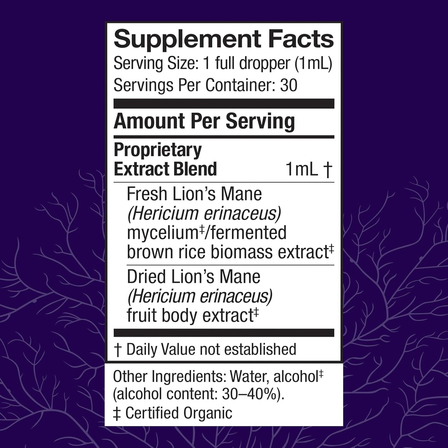 Lion's Mane Extract Supplement - Brain Health & Immune Support - Focus, Memory, & Nervous System Function - 1 fl oz