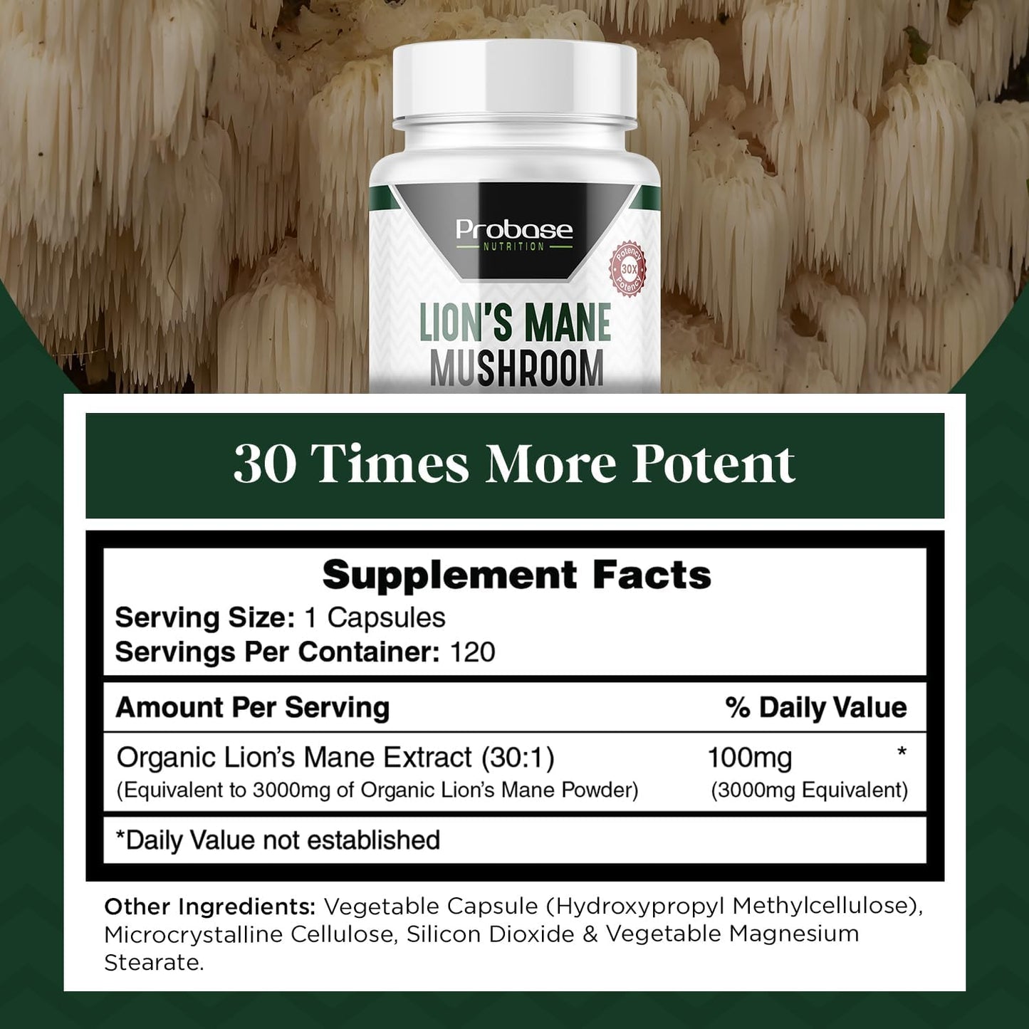 Lions Mane Mushroom Supplement Capsules - 30x Potency Extract - 4 Month Supply - 120 Count