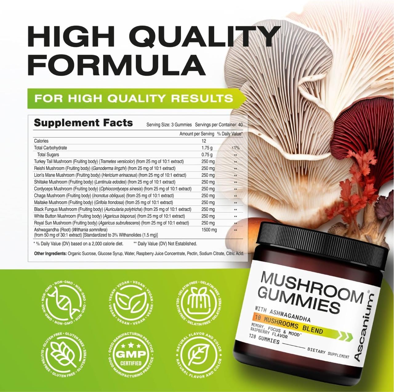 Lions Mane Mushroom Supplement with Ascanium - Updated Formula