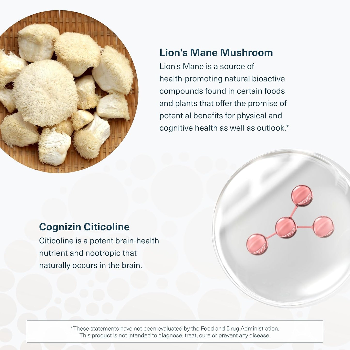 Lion's Mane Plus Mushroom Supplement with Cognizin - Promotes Focus & Brain Health - 60 Capsules