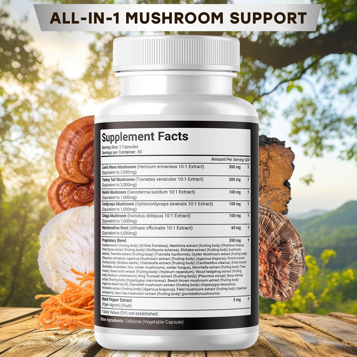 Lions Mane & Turkey Tail Mushroom Supplement for Cognitive & Immune Support - 60 Count