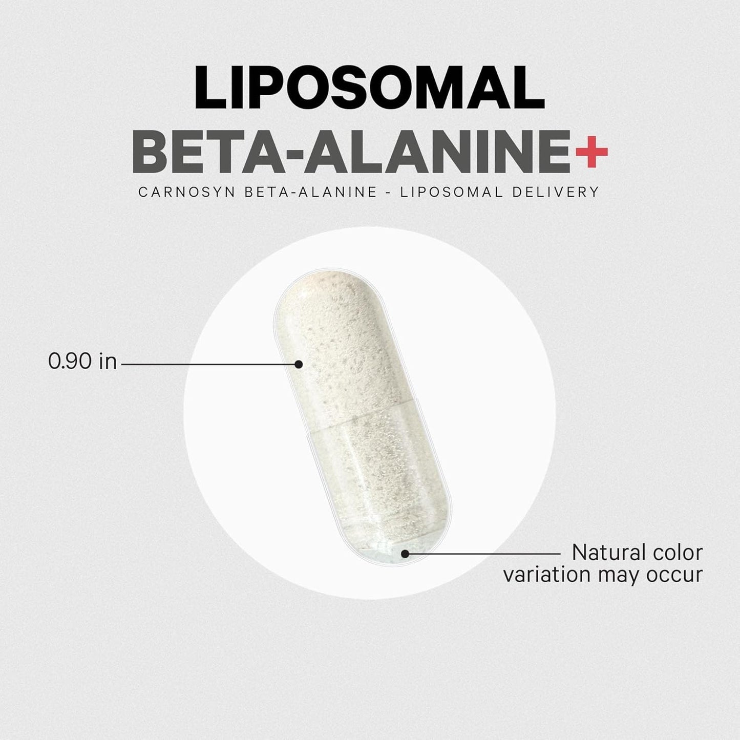 Liposomal Beta-Alanine Supplement 180 Capsules - CarnoSyn B-Alanine - Non-GMO - 2-Month Supply for Pre and Post Workout