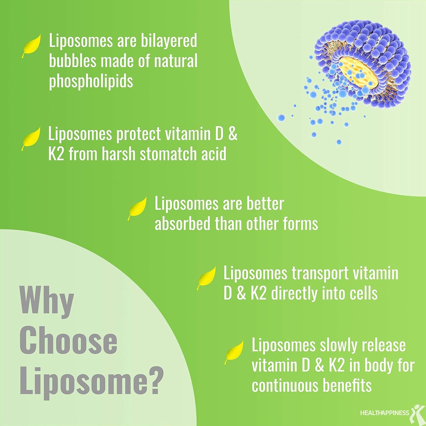 Liposomal D3 & K2 MK-7 Supplements for Bone and Immune Health, 5000 IU D3, 125 mcg K2, Organic Coconut Oil, 365 Softgels