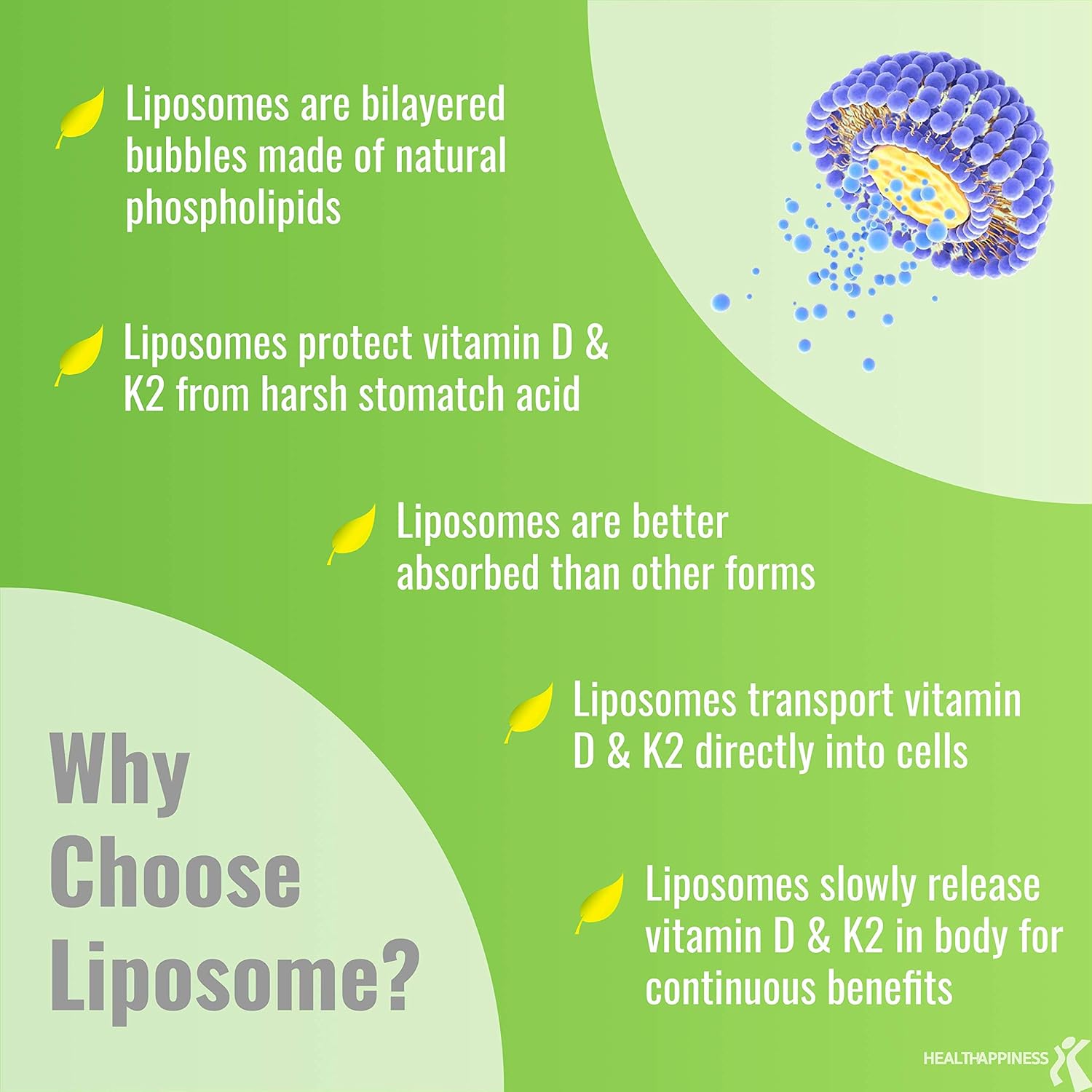 Liposomal D3 & K2 MK-7 Supplements for Bone and Immune Health, 5000 IU D3, 125 mcg K2, Organic Coconut Oil, 365 Softgels