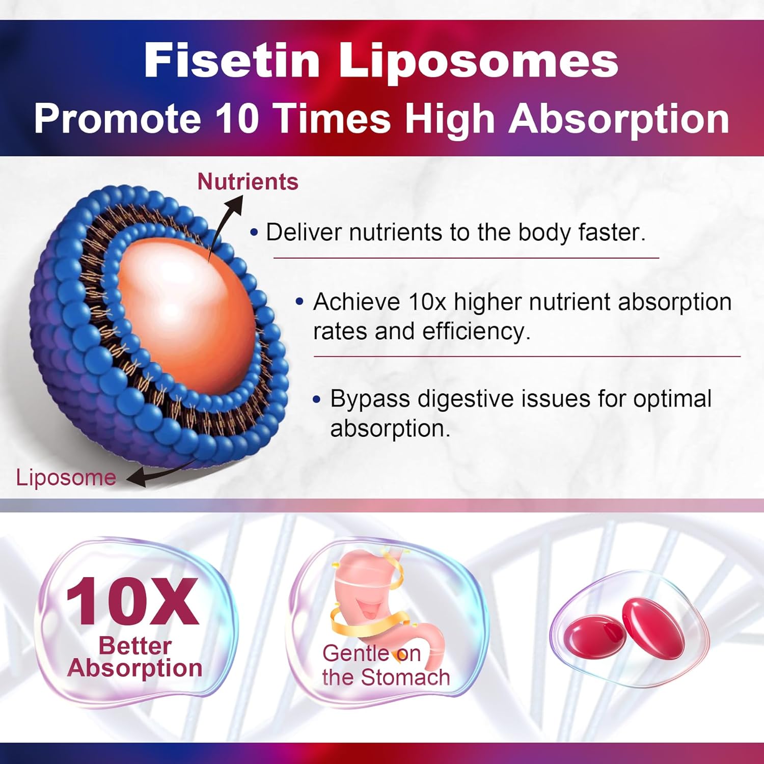 Liposomal Fisetin Softgels 1200mg + CoQ10-200mg Softgels Combo Pack