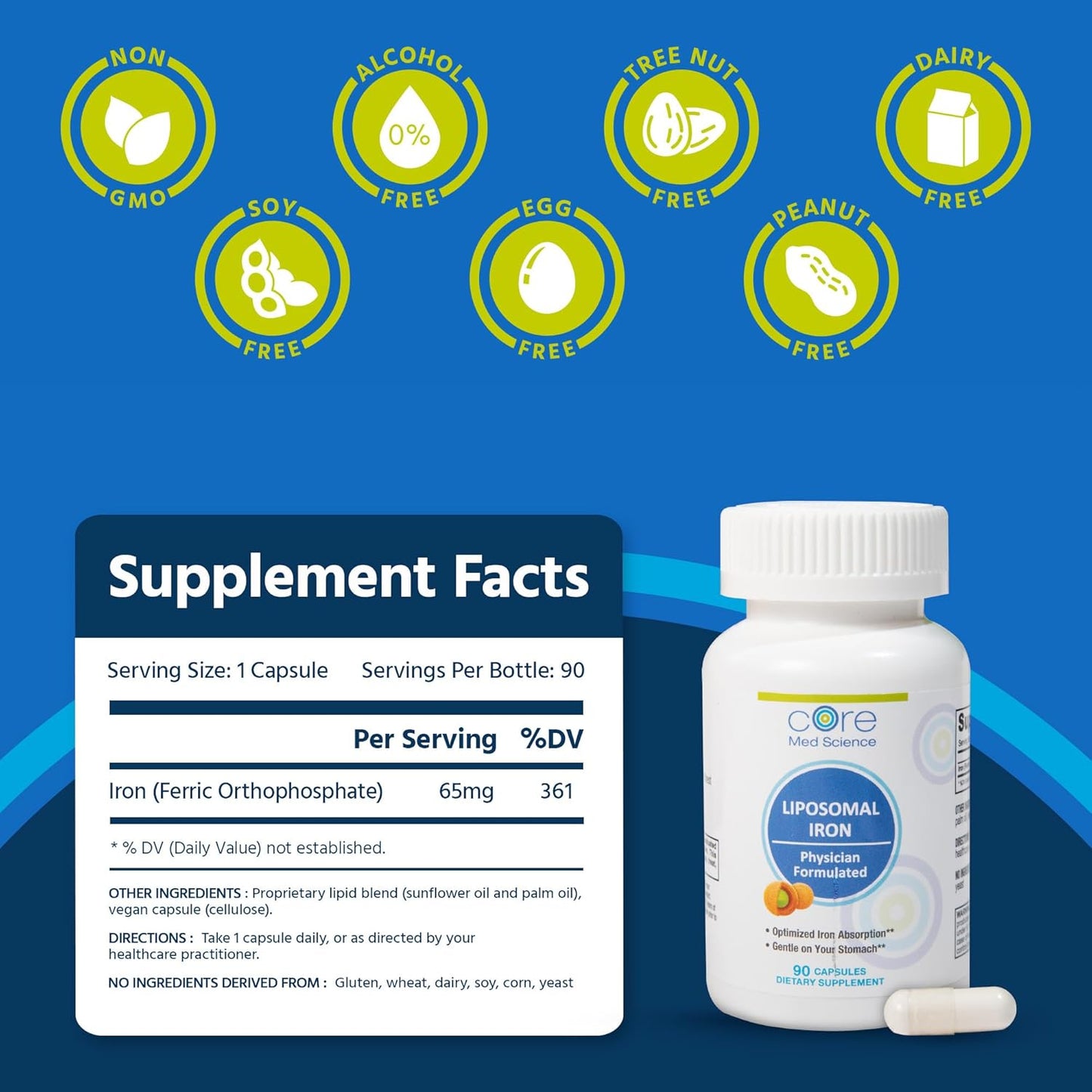 Liposomal Iron Supplement 65mg (90 Capsules) for Men & Women - Gentle Iron Absorption Pills for Pregnancy Deficiency - Easy to Swallow, Dairy-Free Formula