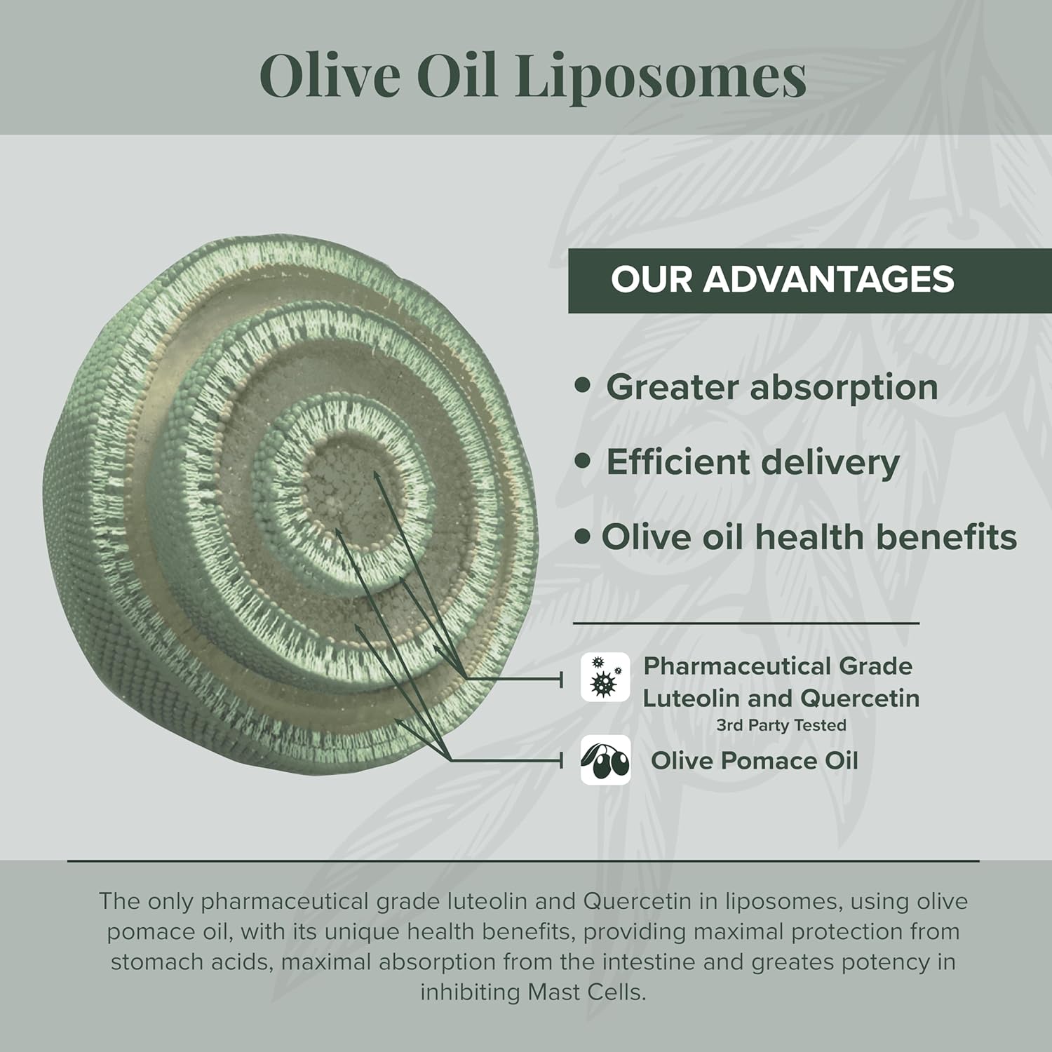 Liposomal Luteolin with Olive Pomace Oil: All-Natural NeuroProtek Supplement for Body and Mind Harmony