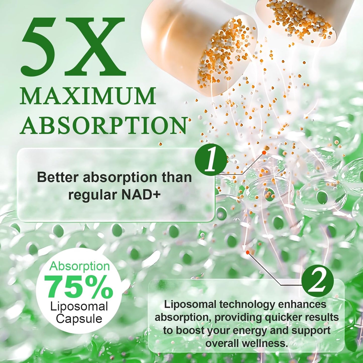 Liposomal NAD Supplement with Resveratrol - 910mg Capsules for Muscle, Energy, and Focus - NAD+ Supplement for Men and Women