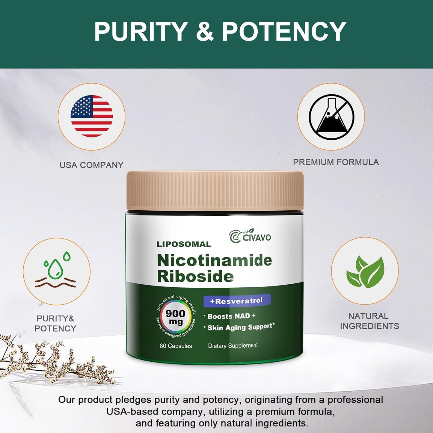 Liposomal NAD+ Supplement with Resveratrol and Quercetin for Cellular Health, Energy, and Focus