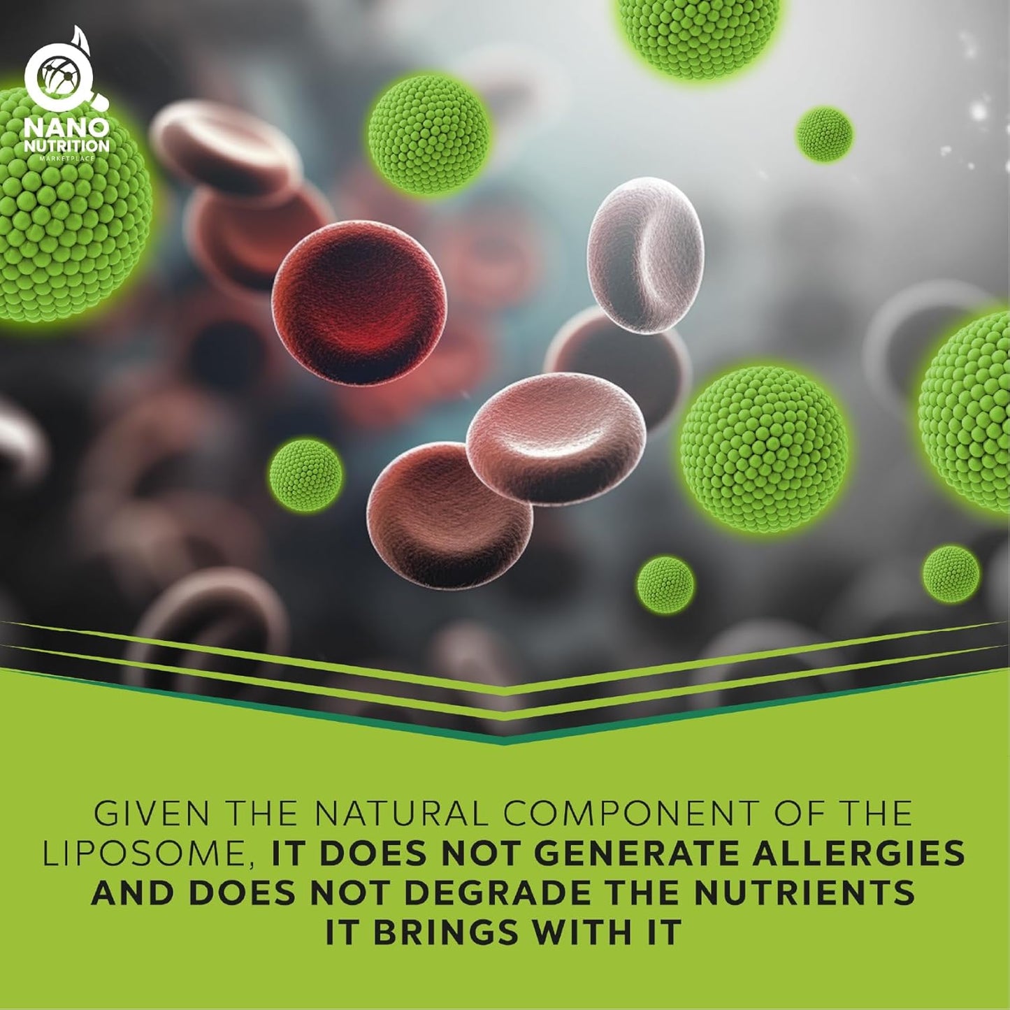 Liposomal Nanotechnology Coenzyme Q10 Supplement - 100% Natural Ingredients - 16 Fl. Oz. - 32 Servings