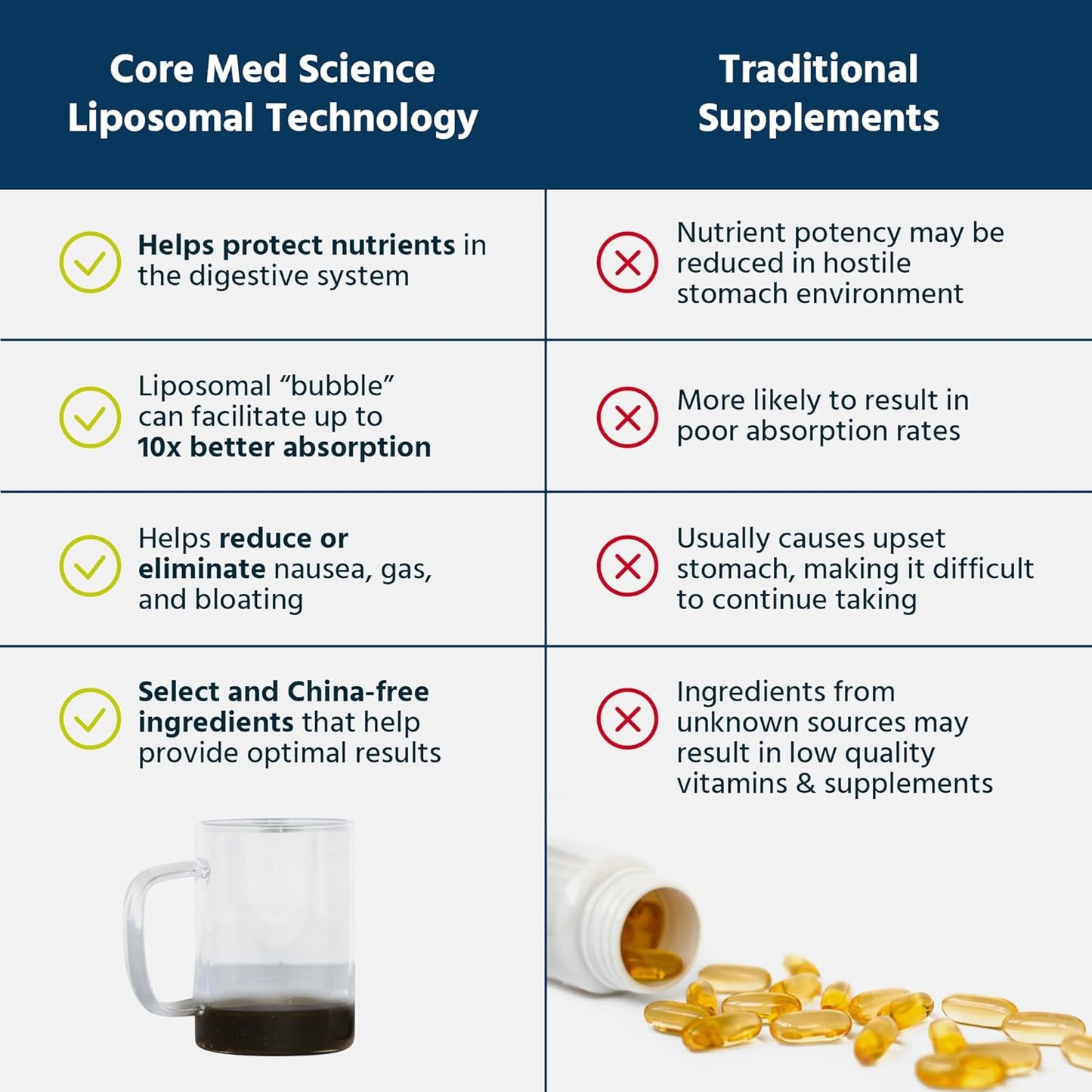 Liposomal Phosphatidylcholine Supplement (8 Fl Oz) - Supports Liver, Gut, & Cognitive Health - Liquid Lecithin Phospholipid Complex