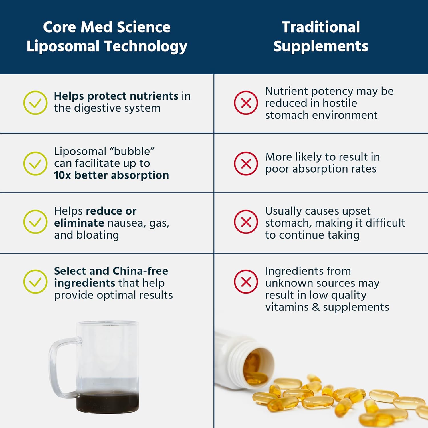 Liposomal Phosphatidylcholine Supplement (8 Fl Oz) - Supports Liver, Gut, & Cognitive Health - Liquid Lecithin Phospholipid Complex