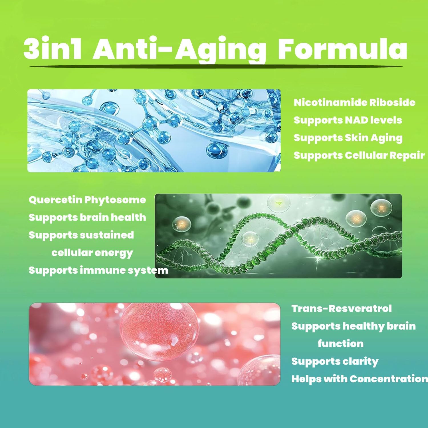 Liposomal Renyqatt NAD+ Supplement for Anti-Aging, Energy, Focus - 80 Capsules