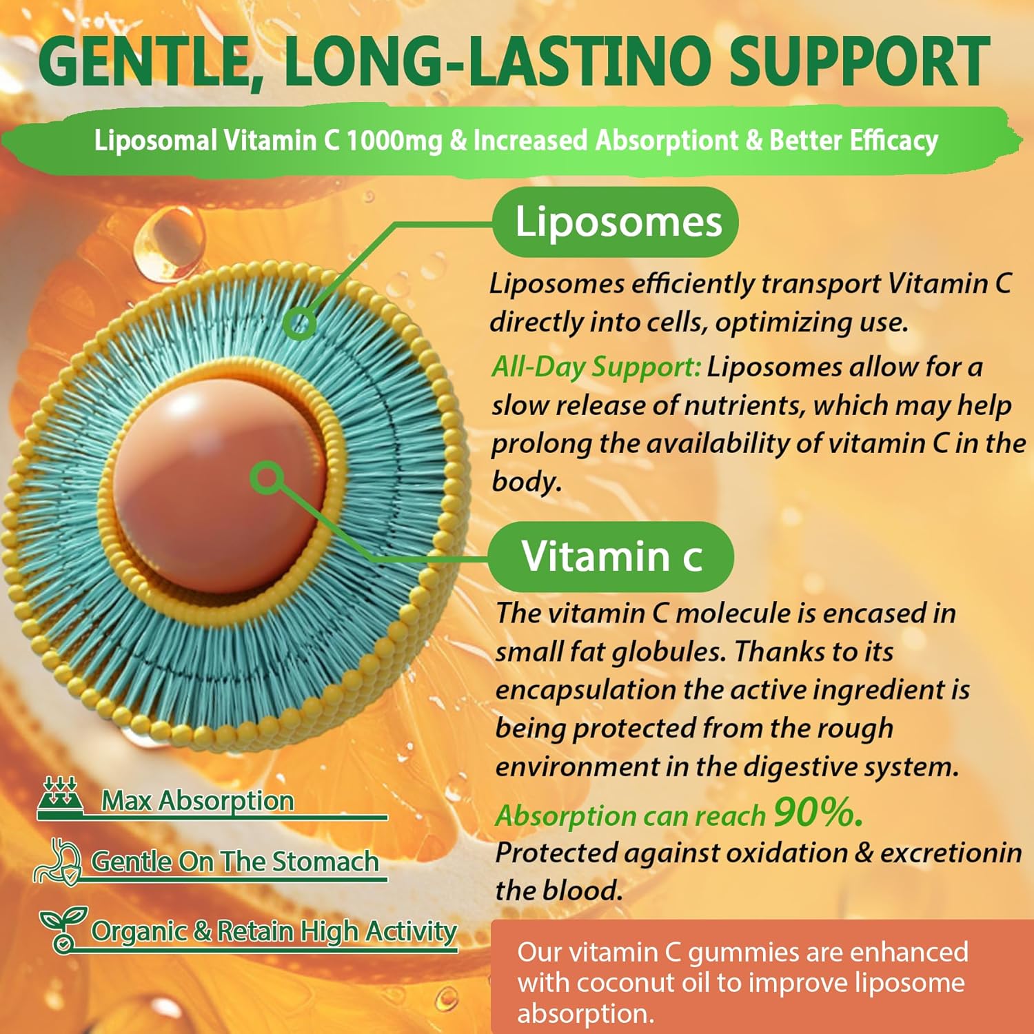 Liposomal Vitamin C with NEVISS Vitamin D3 for Enhanced Absorption and Immune Support