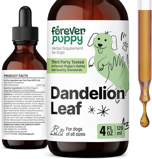Liquid Dandelion Leaf Kidney Health Supplement for Dogs - 4 oz Bottle - Supports Kidney Cleanse & Detox - Suitable for Large, Medium, and Small Breeds