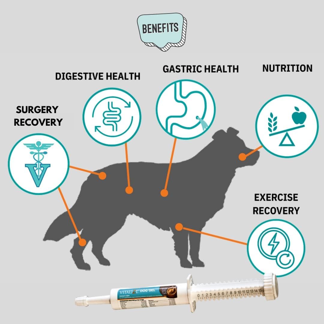 Liquid Gel Paste for Dogs - Probiotics Alternative & Post-Surgery Recovery - Immune Support & Gut Health Booster (15 ml)