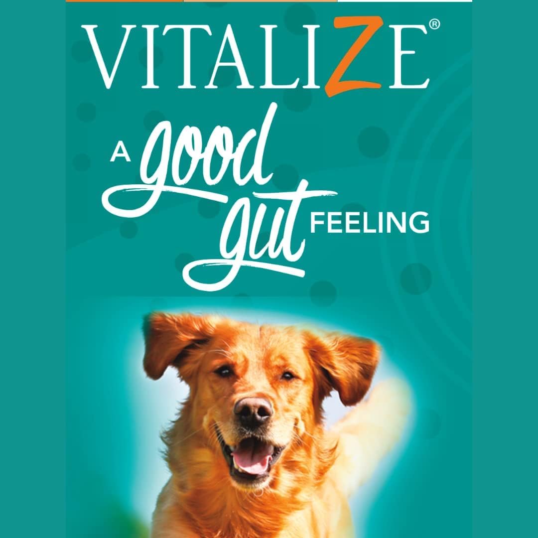 Liquid Gel Paste for Dogs - Probiotics Alternative & Post-Surgery Recovery - Immune Support & Gut Health Booster (15 ml)