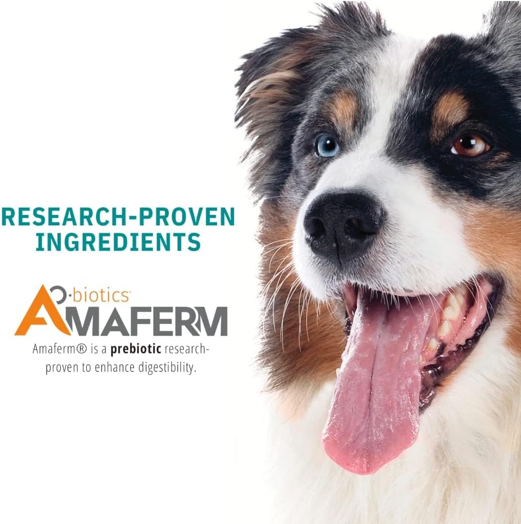 Liquid Gel Paste for Dogs - Probiotics Alternative & Post-Surgery Recovery - Immune Support & Gut Health Booster (15 ml)