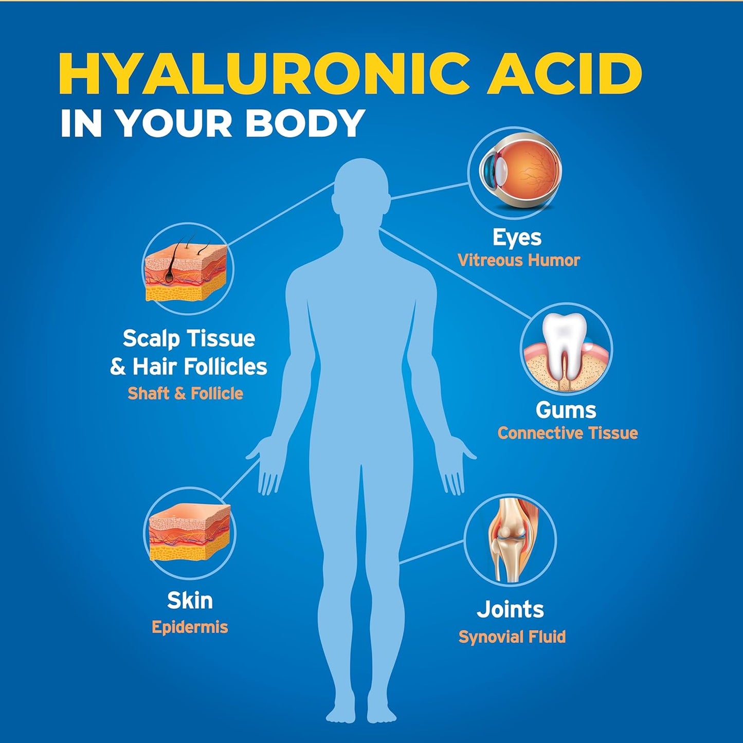 Liquid Hyaluronic Acid Supplement for Skin, Joints, Eyes, and Lips - Vegan & Gluten Free - 1oz Bottle