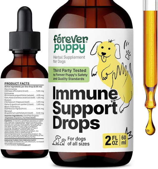 Liquid Immune Support Supplement for Dogs - Echinacea & Mullein Leaf Tincture - Boosts Immunity in Dogs of All Sizes - 2 oz Bottle
