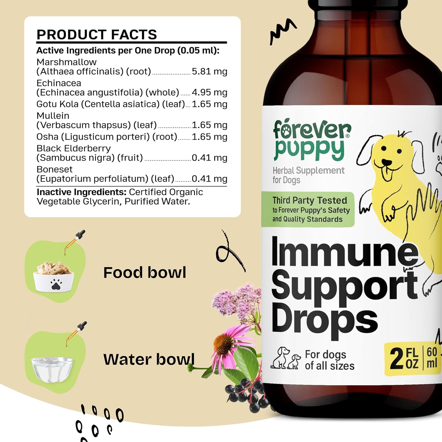 Liquid Immune Support Supplement for Dogs - Echinacea & Mullein Leaf Tincture - Boosts Immunity in Dogs of All Sizes - 2 oz Bottle