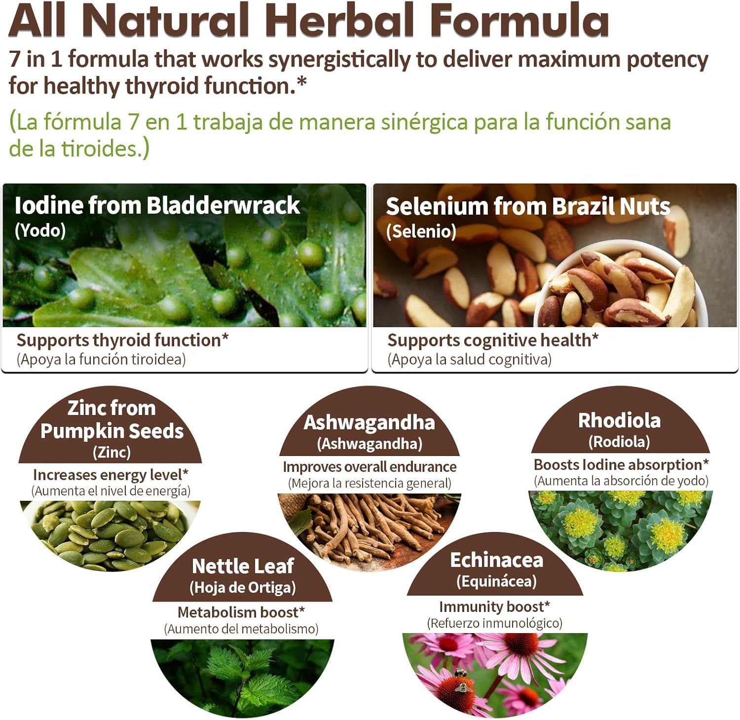 Liquid Iodine Supplement with Selenium for Thyroid Support - Includes Ashwagandha & Rhodiola Extract - 2 oz Tincture