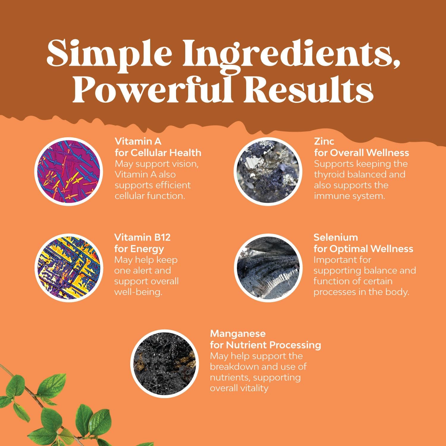 Liquid Iodine Thyroid Support Supplement with Myo-Inositol and Selenium - Vegan Formula for Enhanced Energy and Focus - 2 Pack