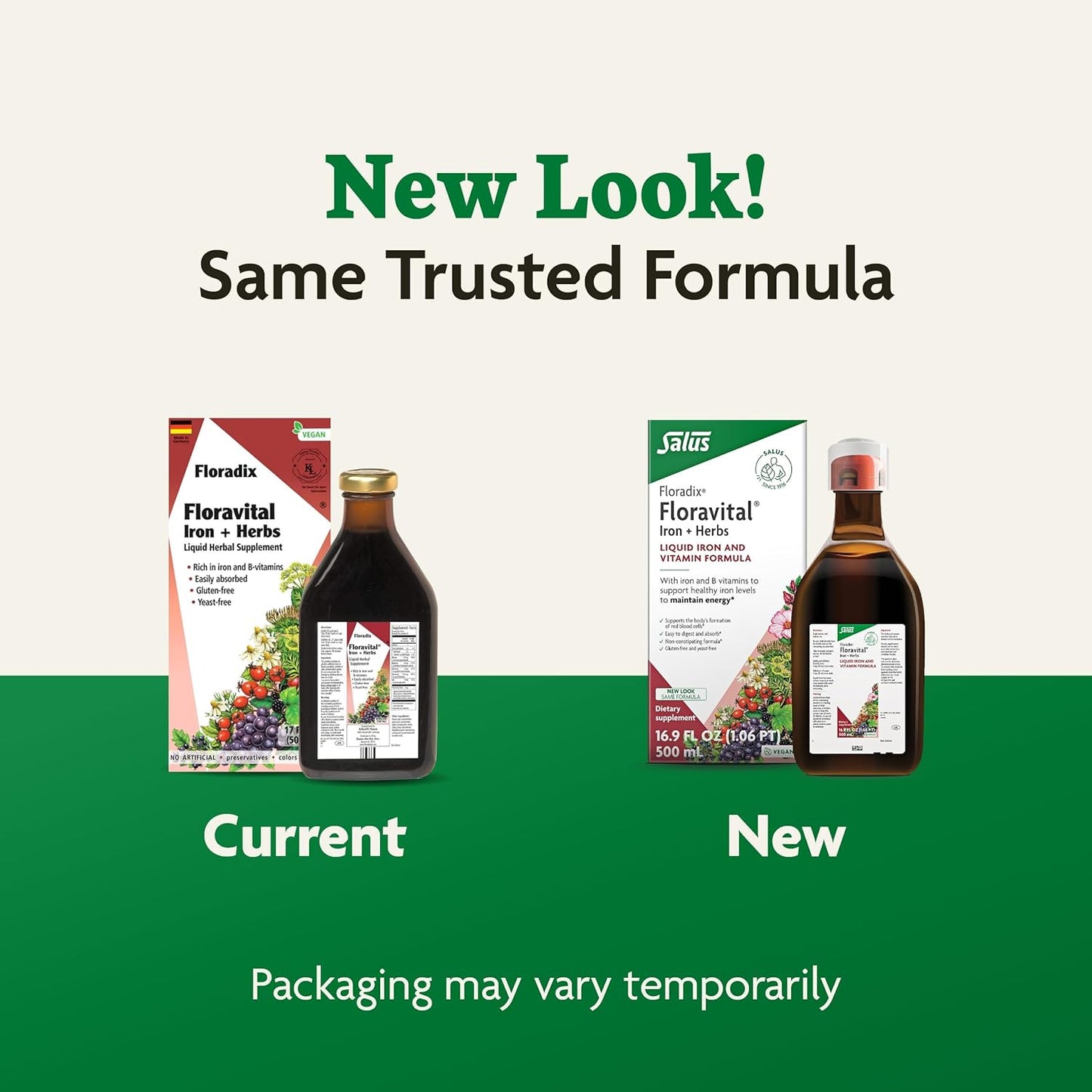 Liquid Iron Supplement with B Complex Vitamins, Vitamin C & Herbs - Vegan Energy Support Formula - Floradix Floravital - 17 fl oz
