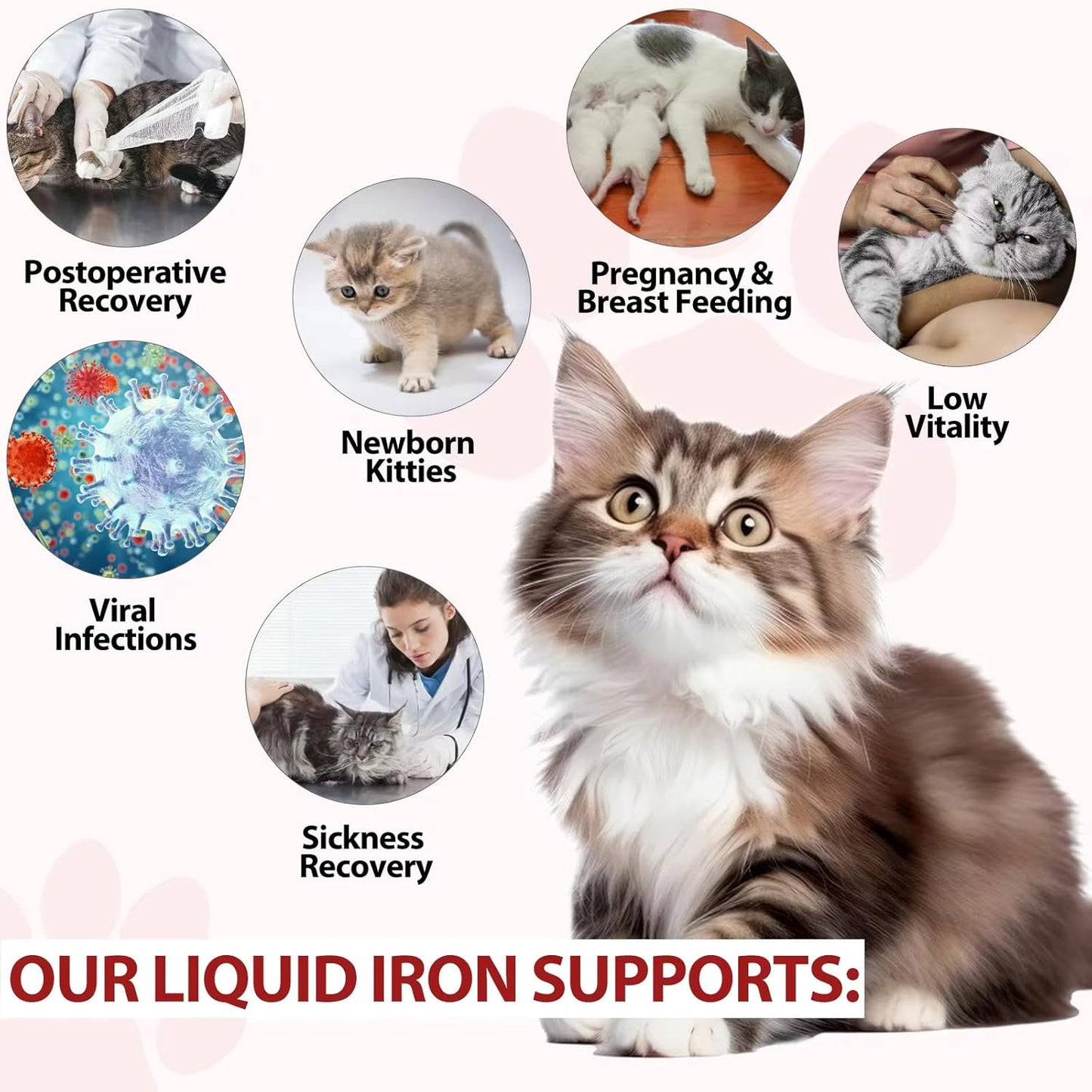 Liquid Iron Supplements for Cats and Kittens with Folate, B12 - Promotes Blood Health, Energy, Oxygen Supply - 2 oz