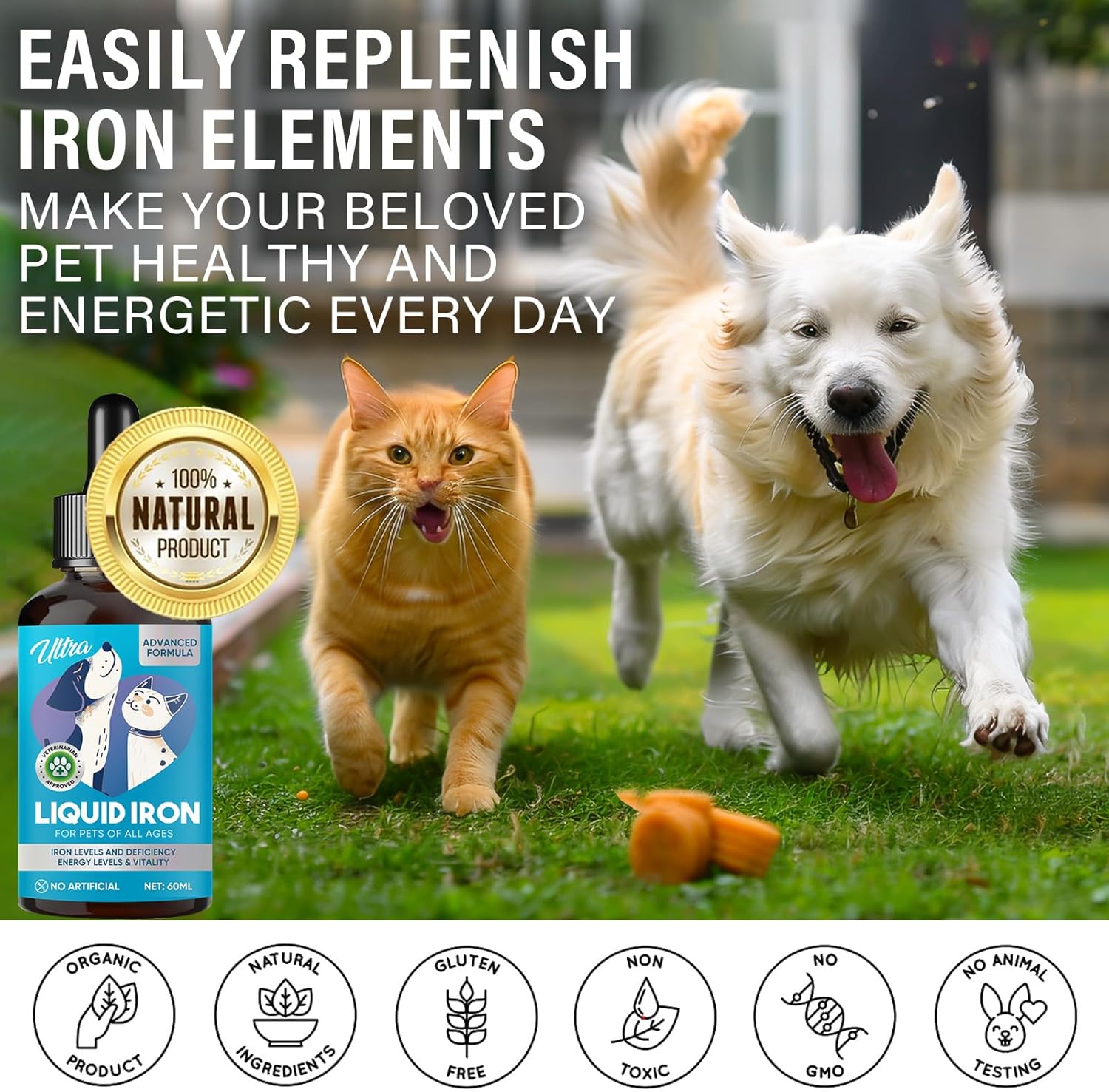 Liquid Iron Supplements for Pets with Vitamin C and B12 - Supports Anemia, Low Energy, and Lethargy, Improves Blood Health | GroceryCentre