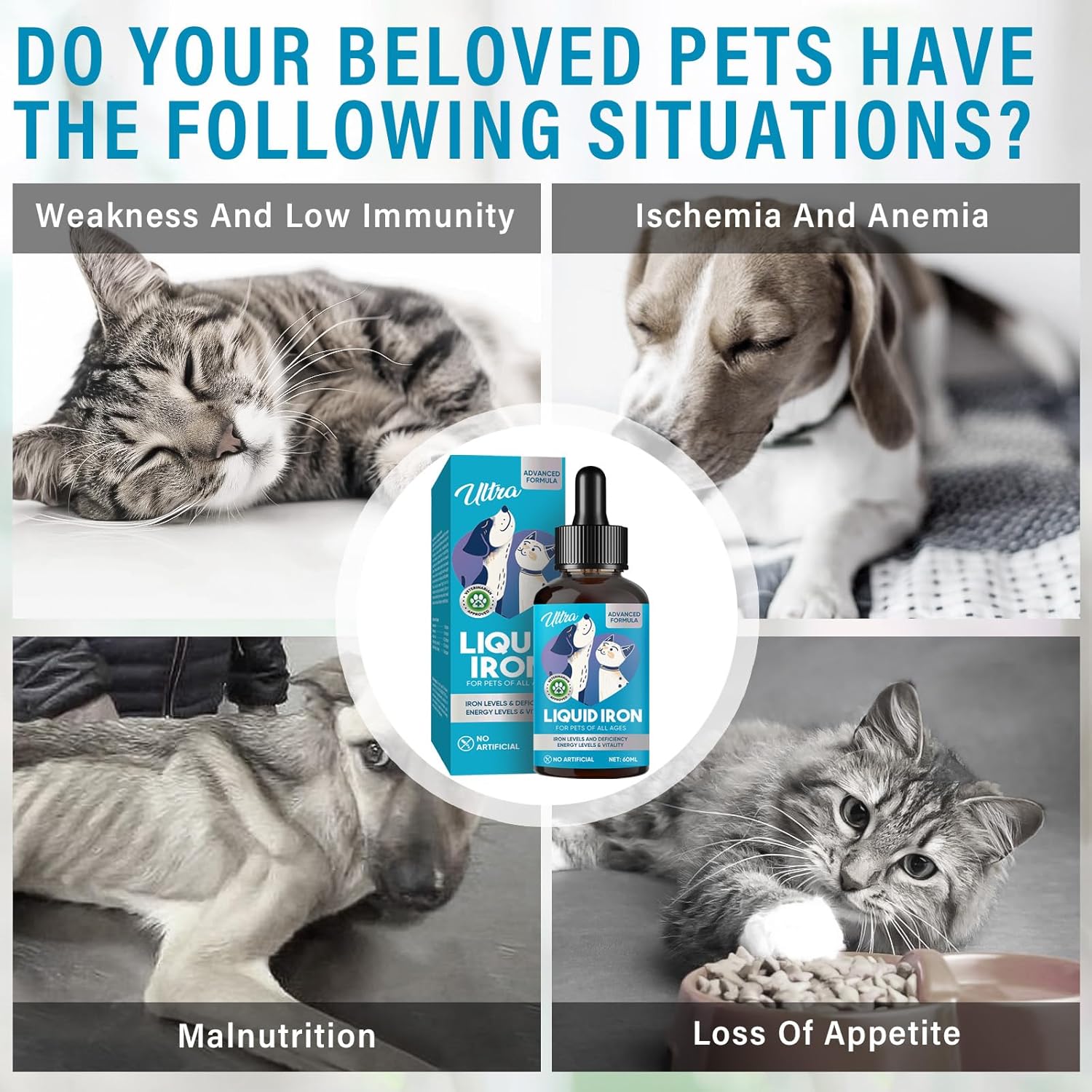 Liquid Iron Supplements for Pets with Vitamin C and B12 - Supports Anemia, Low Energy, and Lethargy, Improves Blood Health | GroceryCentre
