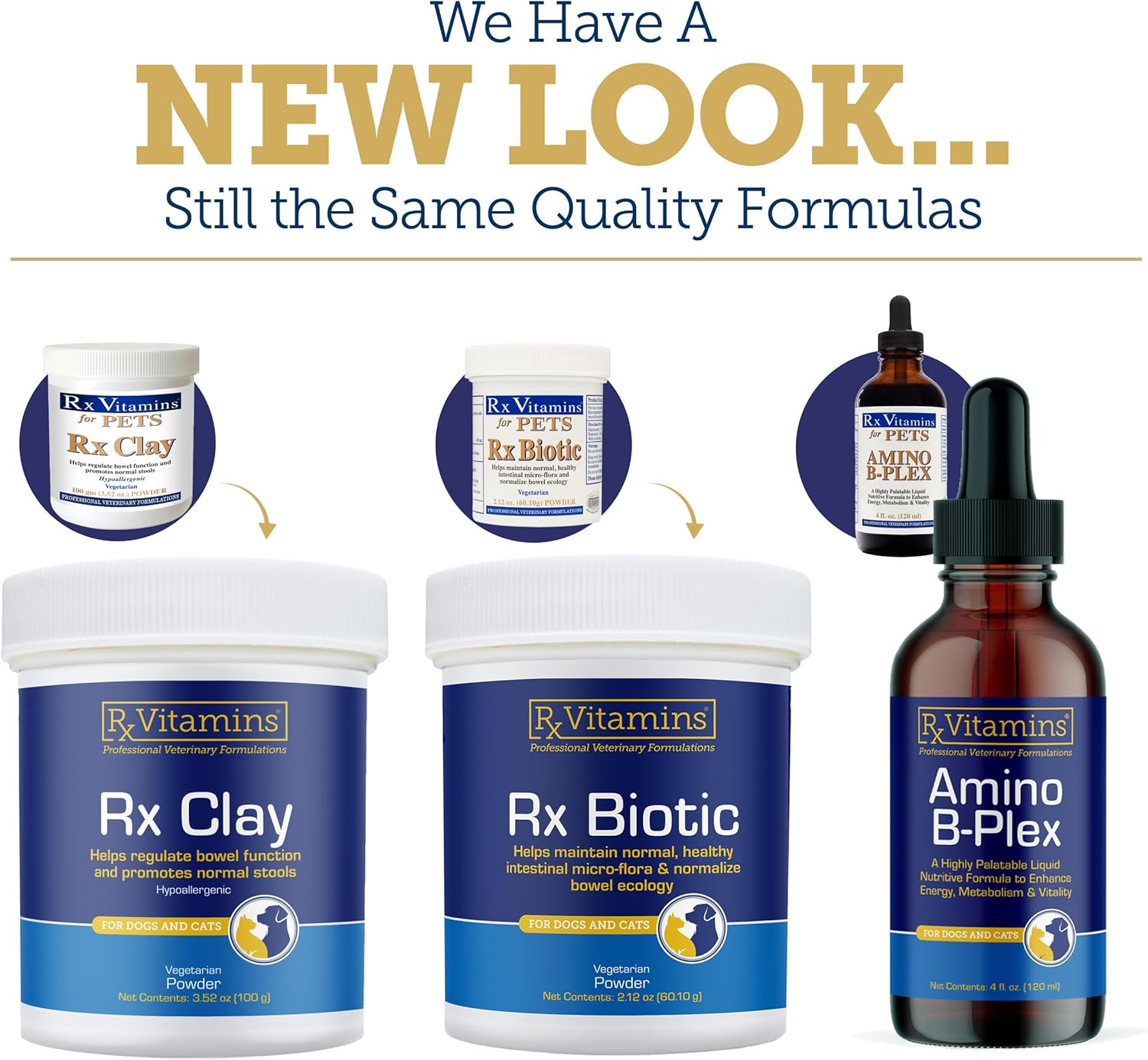 Liquid L-Carnitine Supplement - 4 oz Bottle for Optimal Health & Fitness