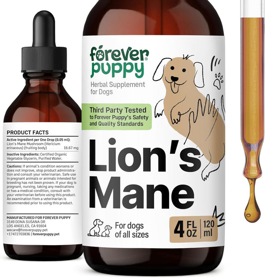 Liquid Lion's Mane Mushroom Supplement for Dogs - 4 fl oz - Brain Health & Focus - Canine Vitamins - Sugar & Alcohol-Free Drops
