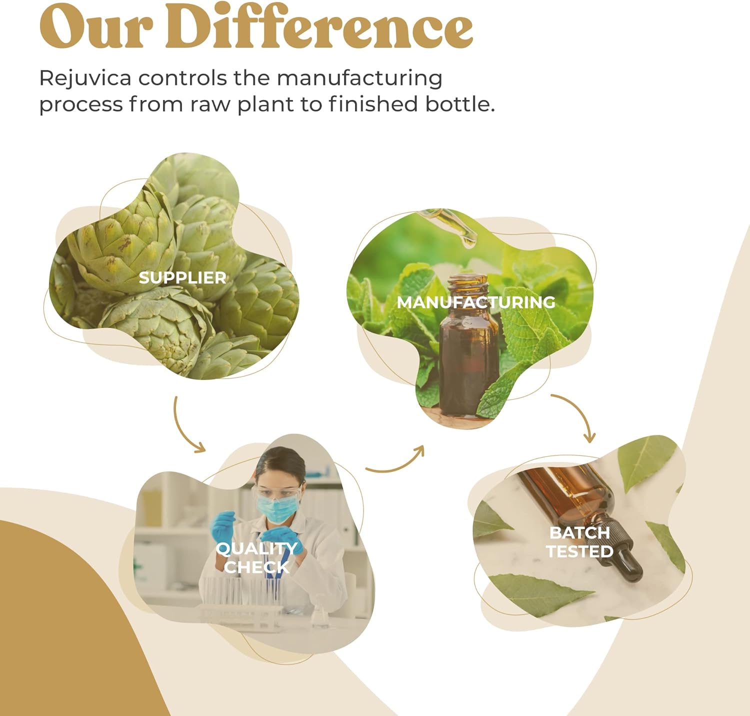 Liquid Maca Root Extract for Energy & Vitality - Peruvian Ginseng Supplement - Advanced Formula for Better Absorption by Rejuvica Health