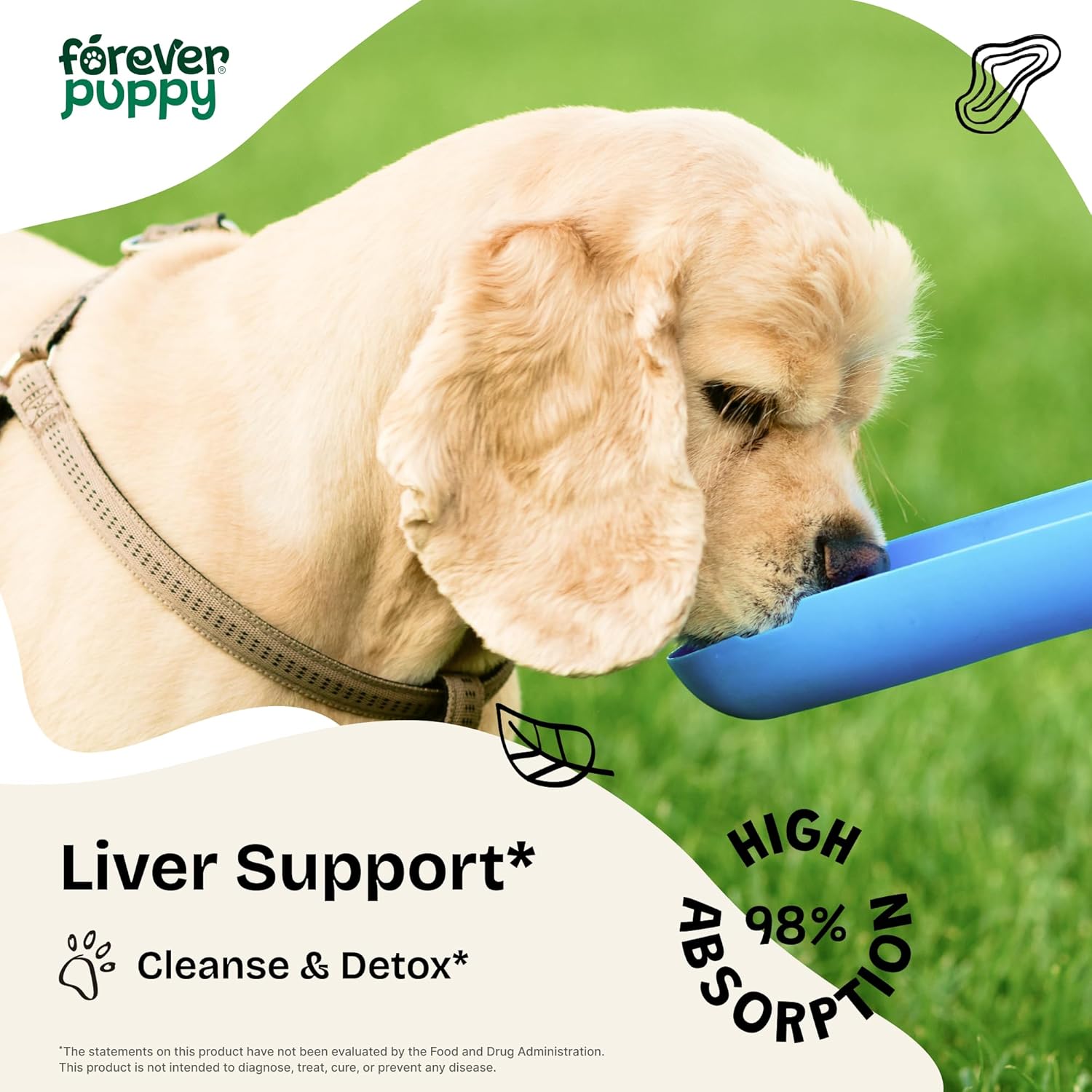 Liquid Milk Thistle Liver Support Drops for Dogs - Herbal Supplements for Large, Medium, Small Breeds - Silymarin Vitamins - 4 oz