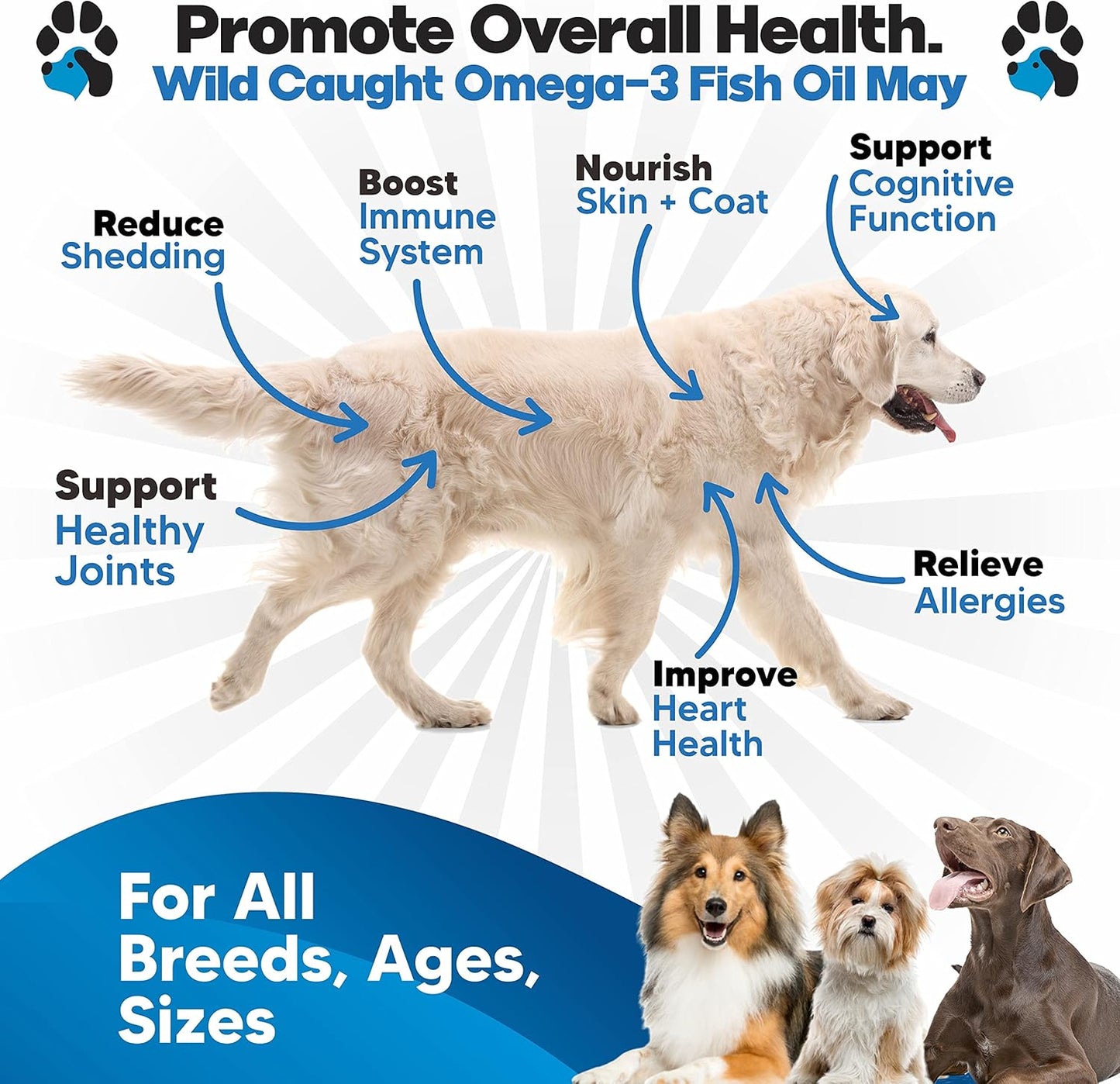 Liquid Omega 3 Fish Oil for Dogs - Premium Dog Supplement for Healthy Skin, Coat, and Joints - Supports Heart and Brain Health - Reduces Shedding and Itching - Alternative to Salmon Oil