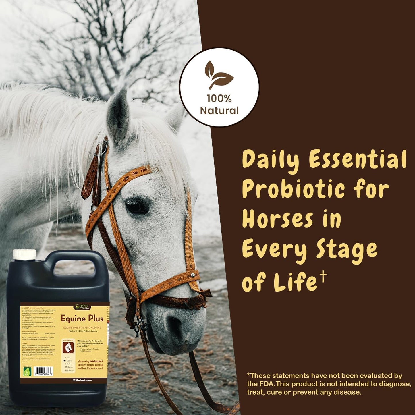 Liquid Probiotic Horse Supplement with Acidophilus - Digestive Health Support for Horses - SCD Probiotics Equine Plus (34 fl.oz.)