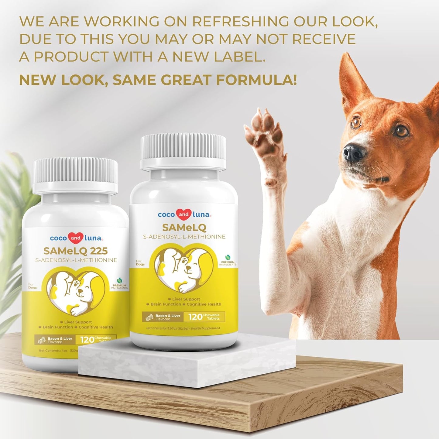 Liver and Brain Support Supplement for Dogs - 120 Chewable Tablets - S-Adenosyl-L-Methionine Formula - Promotes Cognitive Function and Liver Health