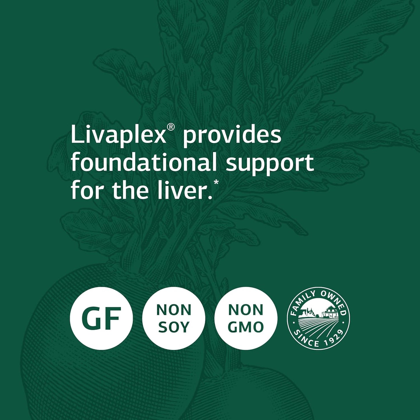 Liver and Digestive Health Support with Livaplex - Whole Food Formula with Spanish Black Radish, Betaine Hydrochloride, and Organic Carrot - 90 Capsules