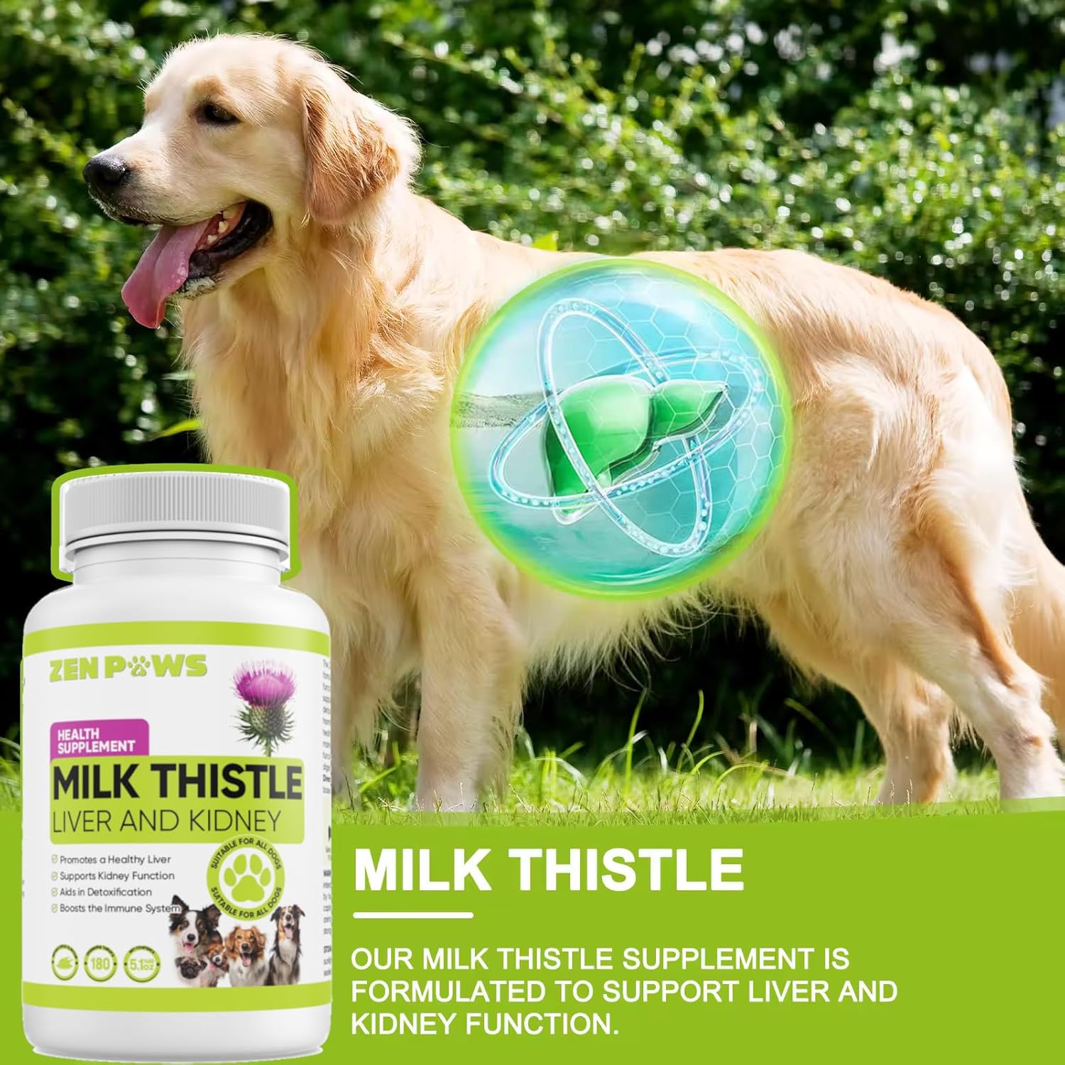 Liver and Kidney Support Supplement for Dogs - 180 Chewable Tablets - Detox and Liver Health for Canines - Zenpaws Milk Thistle, 800 mg