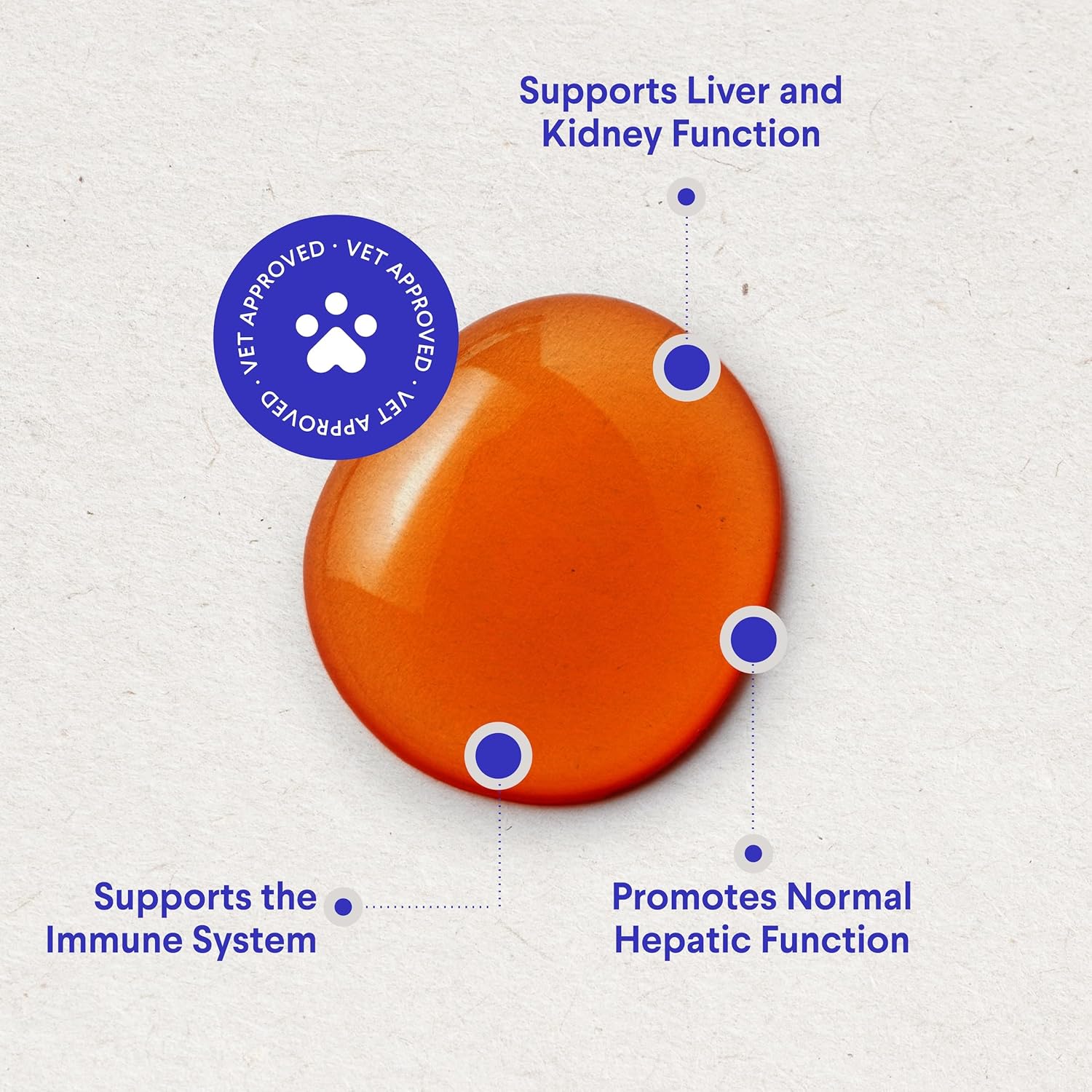 Liver and Kidney Support Supplement for Dogs with Milk Thistle, Wild Alaskan Salmon Oil, and Curcumin - Detox and Hepatic Support - Omega 3 EPA & DHA - 2 Oz